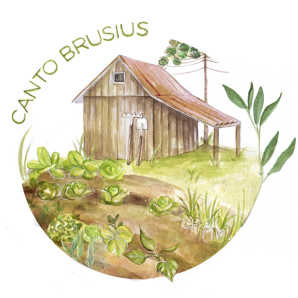 Canto Brusius